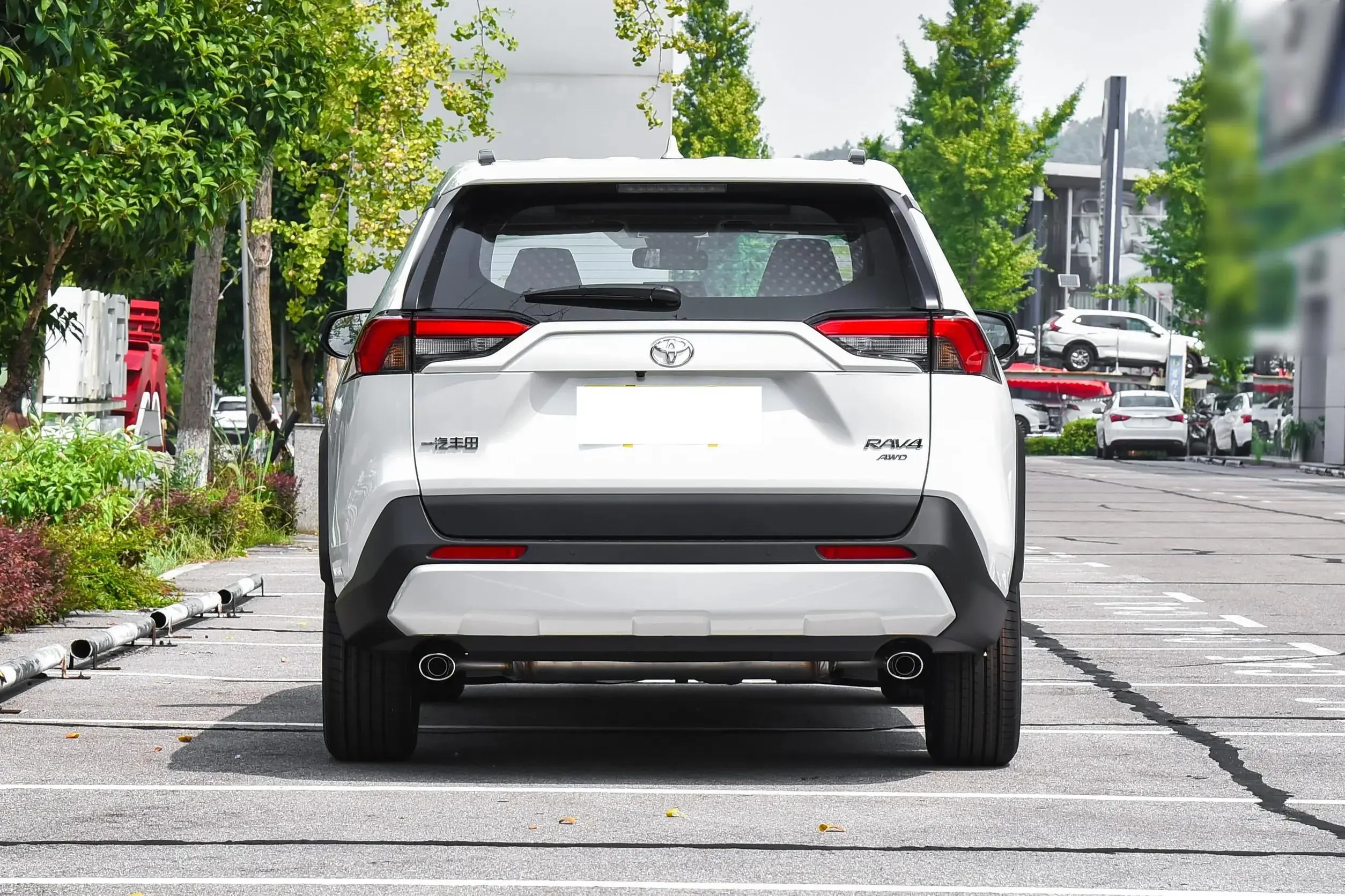 rav4 (4).jpg