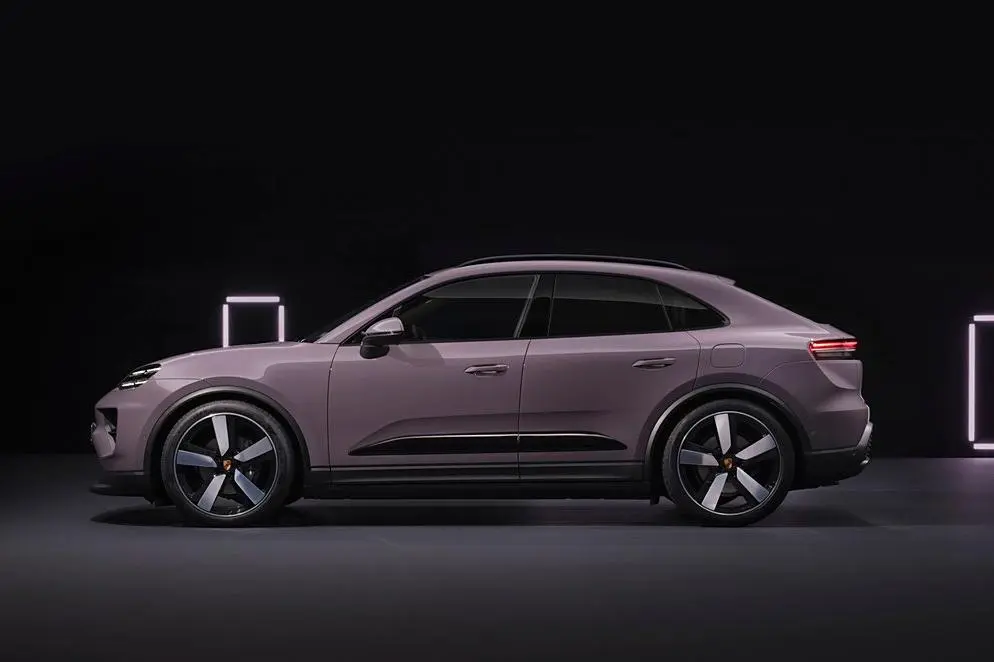 macan-3.jpg