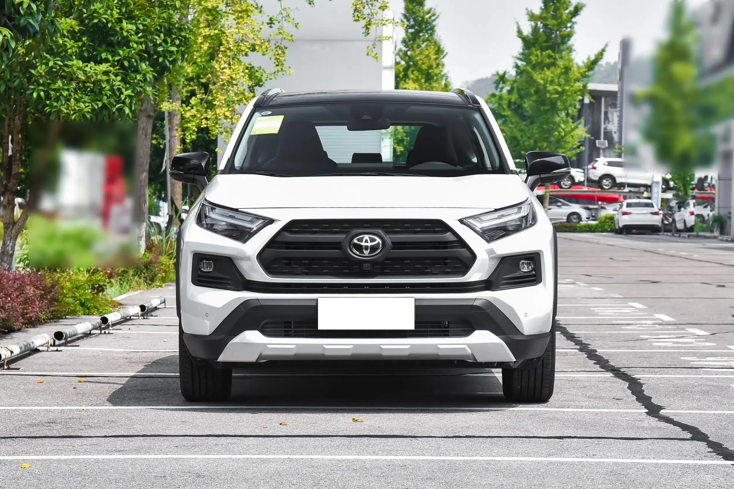 rav4 (2).jpg