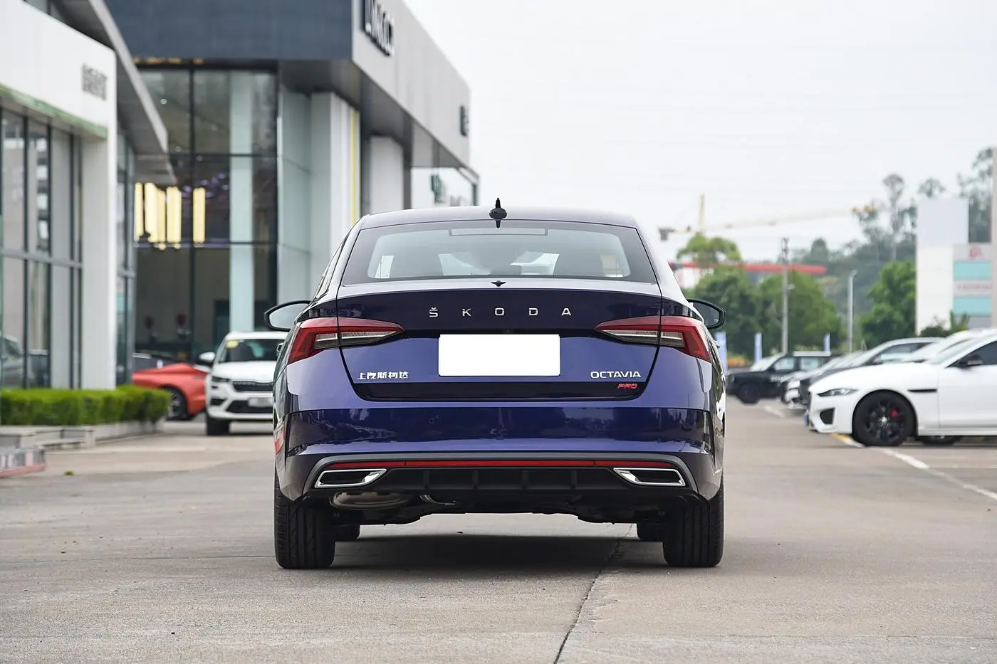 Skoda octavia-4.jpg
