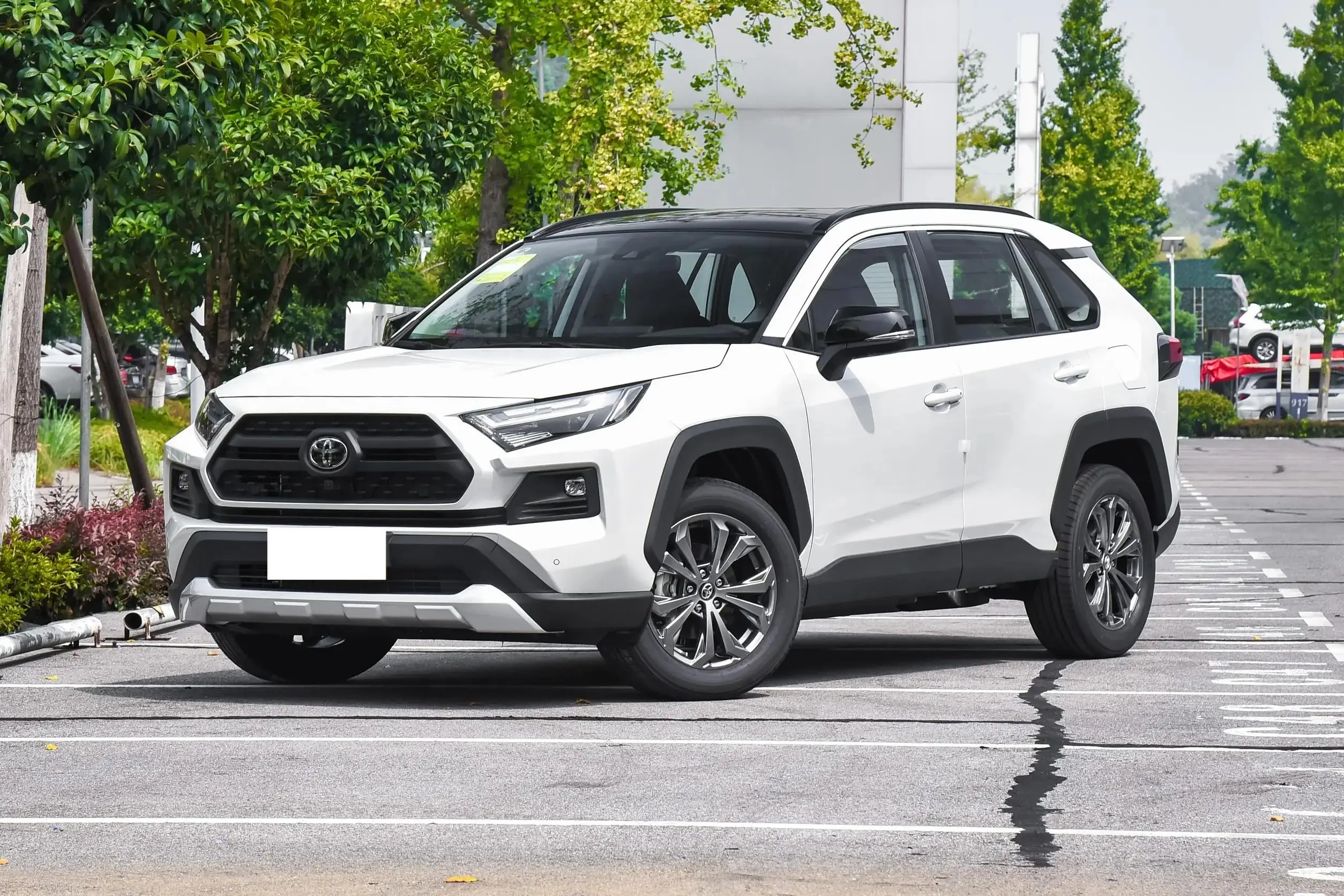 Toyota RAV4 2.0L CVT 2WD Gasoline - Chines...
